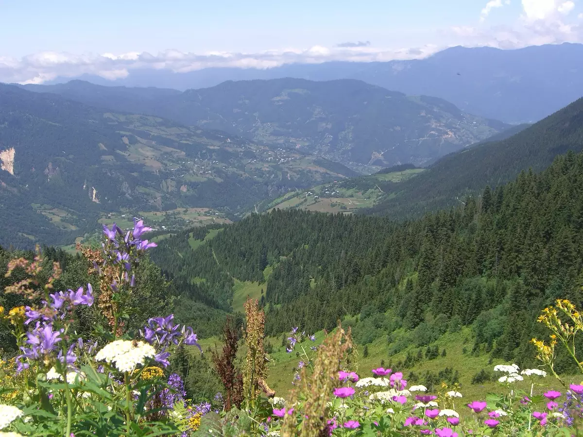 A Botanical Field Experience in the Lesser Caucasus